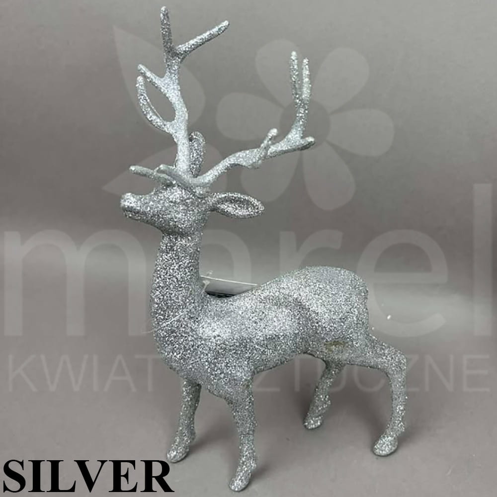BN-67-10118-25 SILVER.jpg