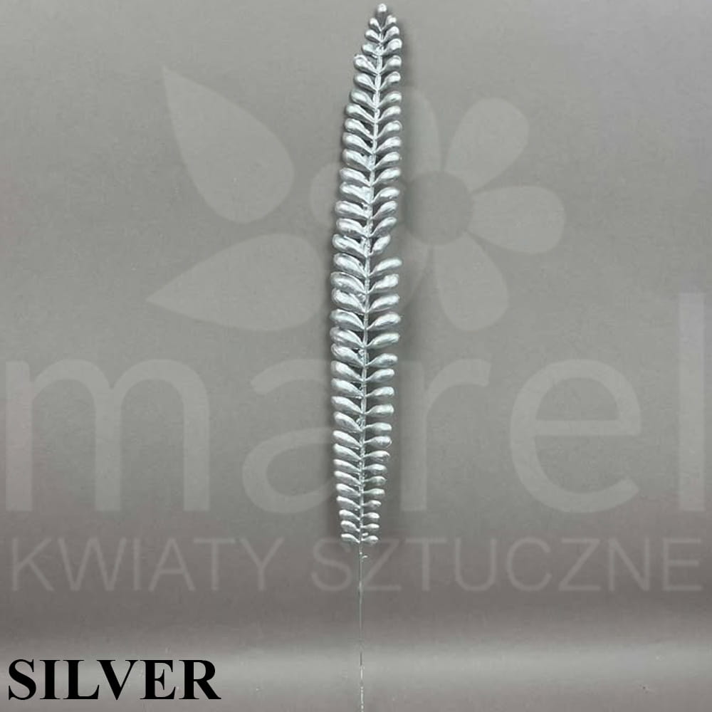241107-5-9-15 SILVER.jpg