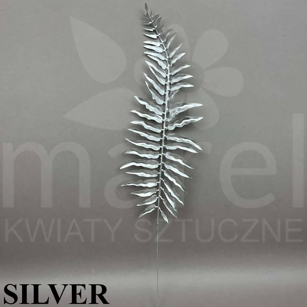 241107-5-8-15 SILVER.jpg
