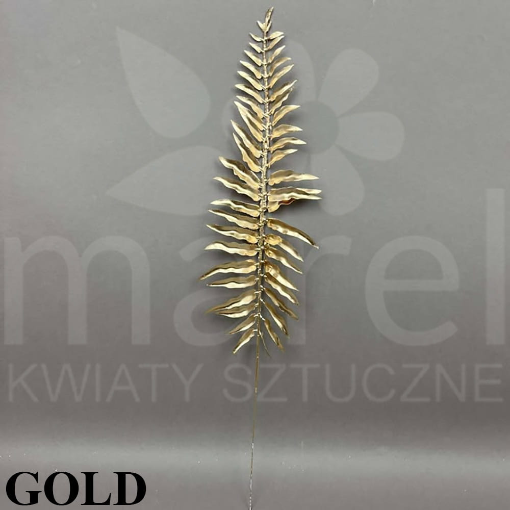 241107-5-8-16 GOLD.jpg