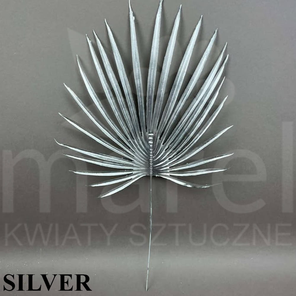 241107-5-6-15 SILVER.jpg