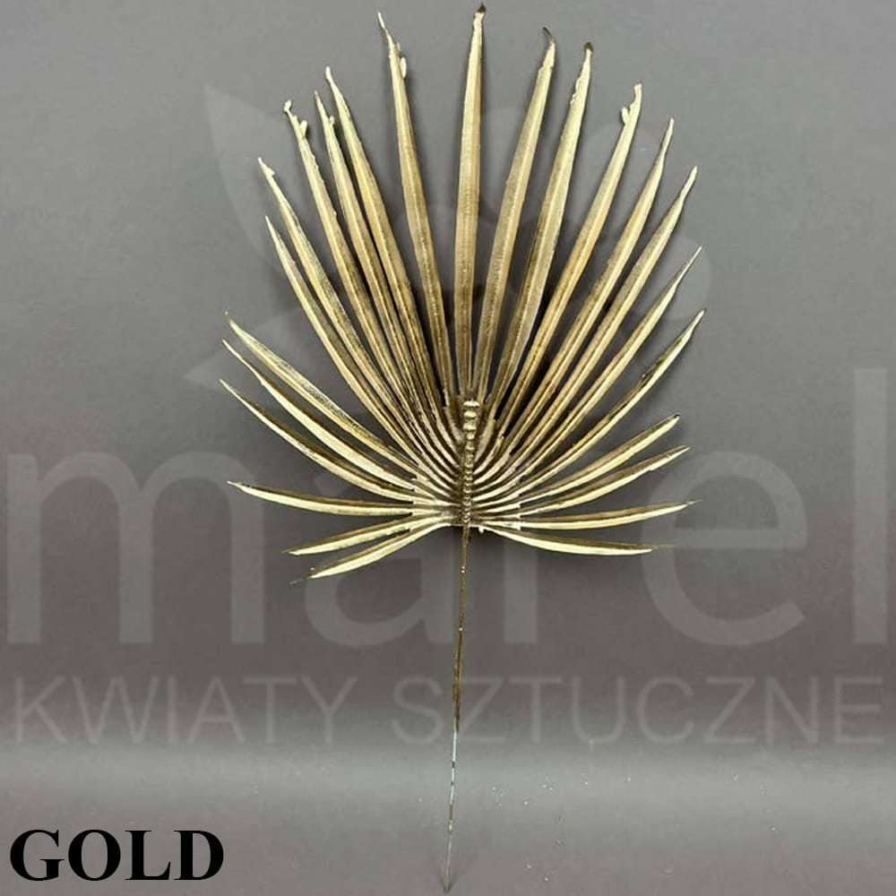 241107-5-6-16 GOLD.jpg