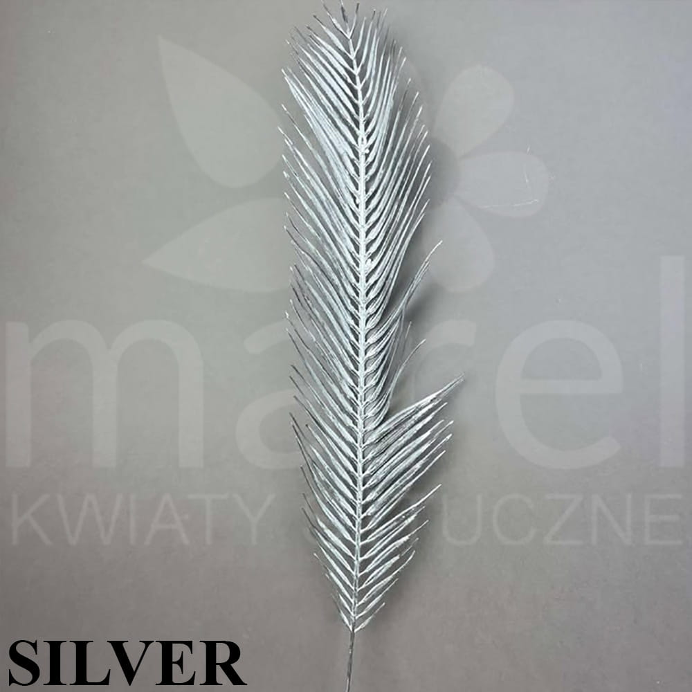 241107-5-5-15 SILVER.jpg