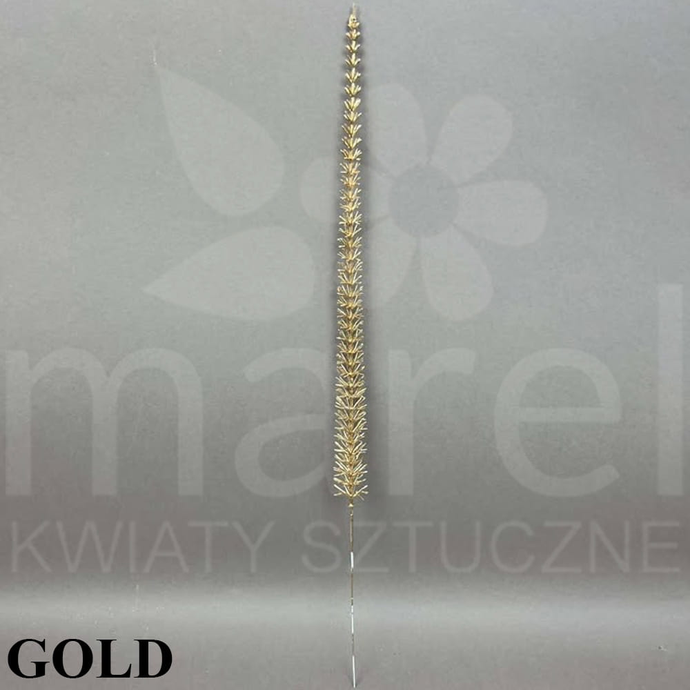 241107-5-2-16 GOLD.jpg