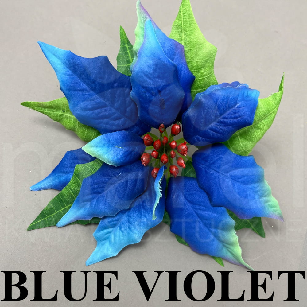 BLUE VIOLET.jpg