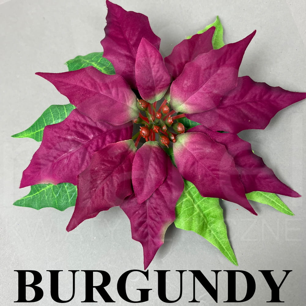 BURGUNDY.jpg