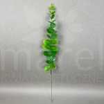 Eukaliptus TIK047 Green