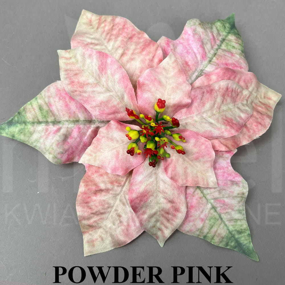 POWDER PINK.jpg