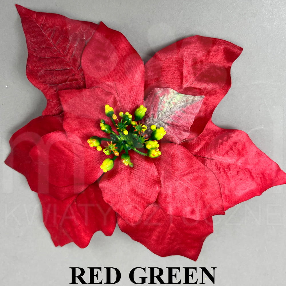 RED GREEN.jpg
