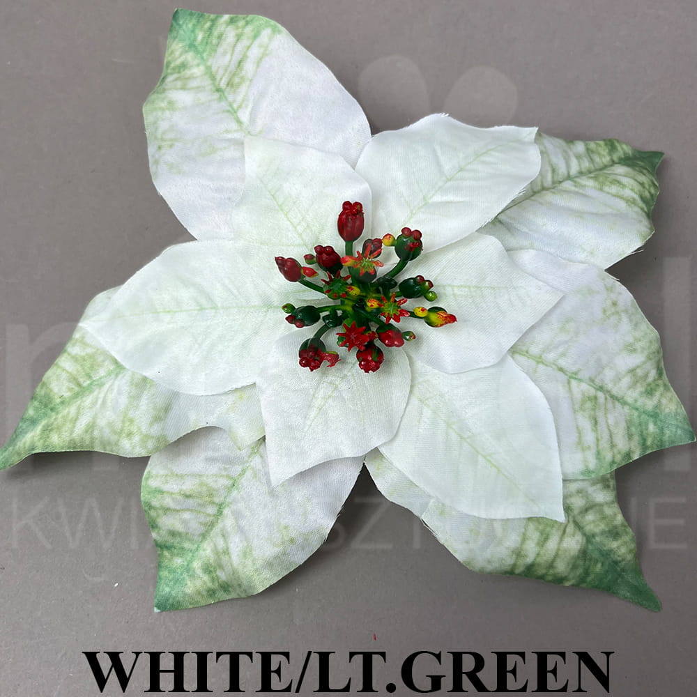 WHITE LT.GREEN.jpg