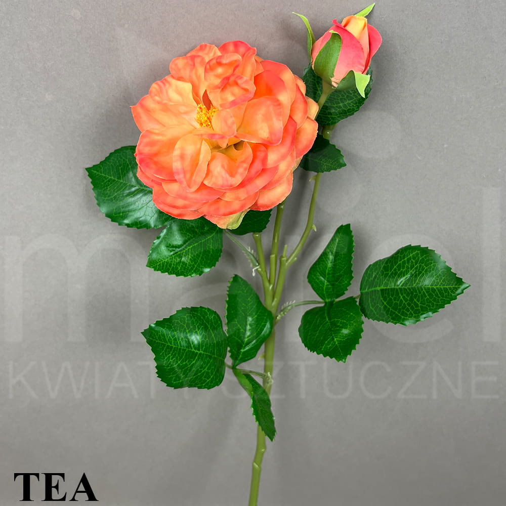 TEA.jpg
