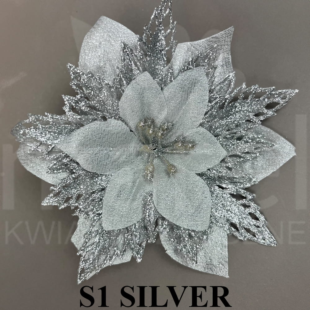 60-196-S1 SILVER.jpg