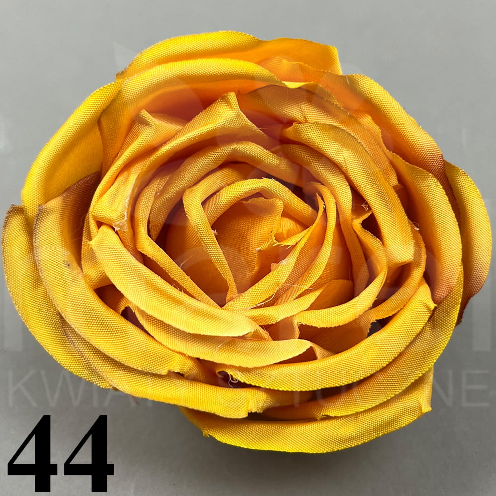 44.jpg
