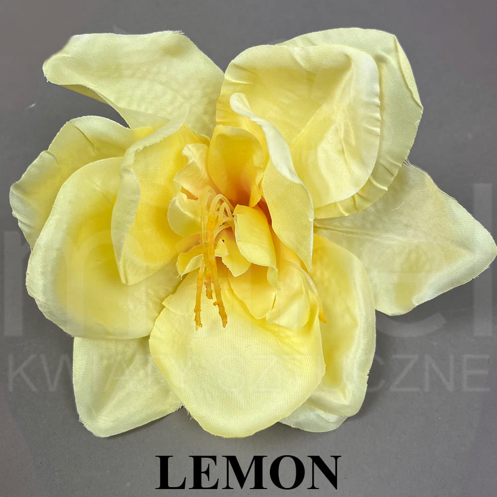 LEMON.jpg