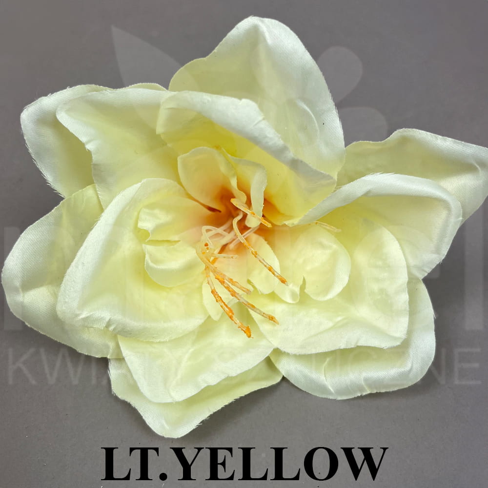 LT YELLOW.jpg