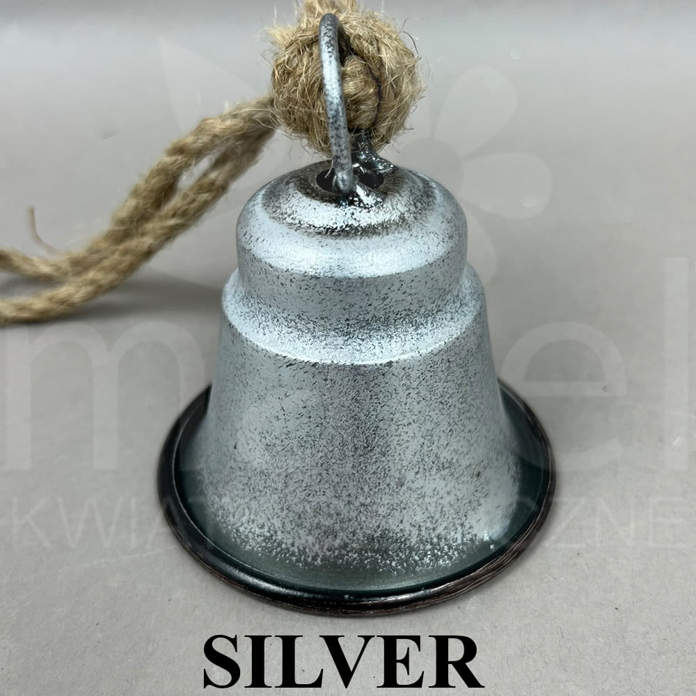 BNM-197-01632-24 SILVER.jpg