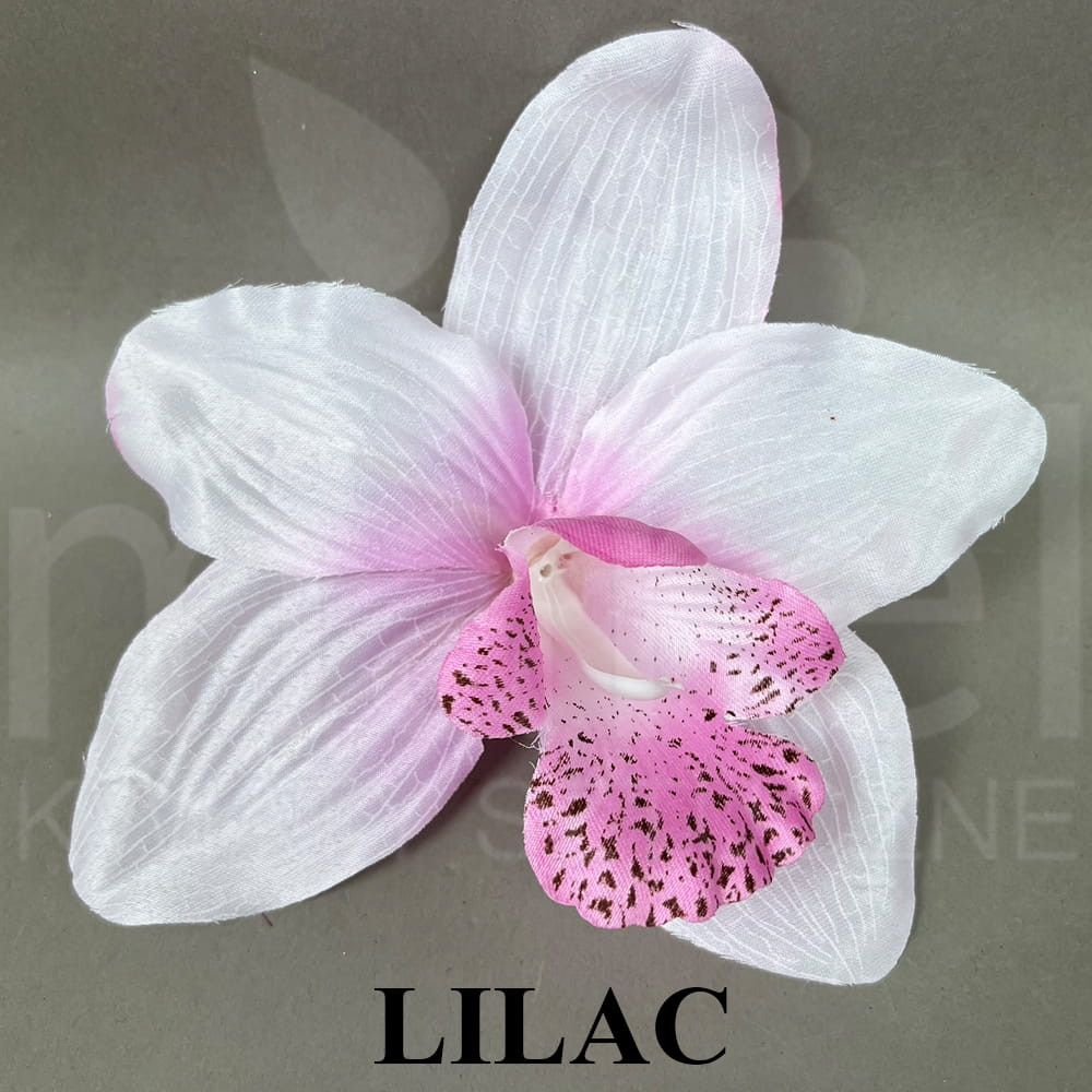 LILAC.jpg