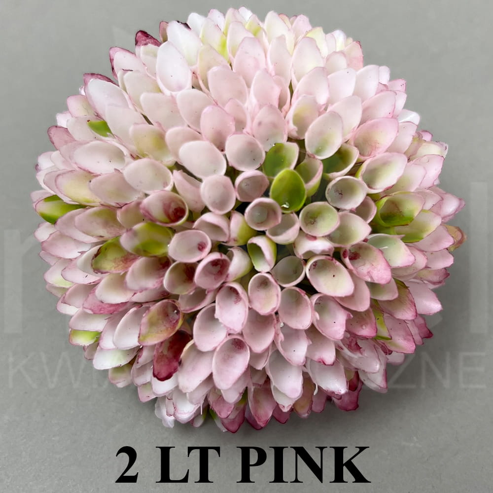 2 LT PINK.jpg