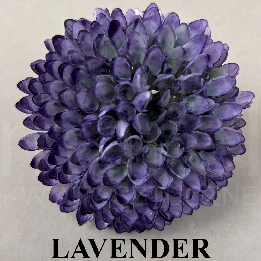 LAVENDER.jpg