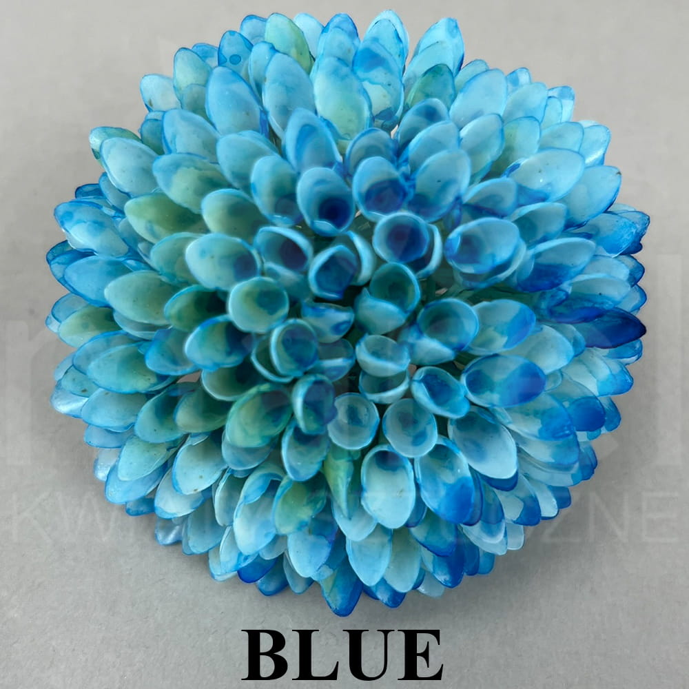 BLUE.jpg