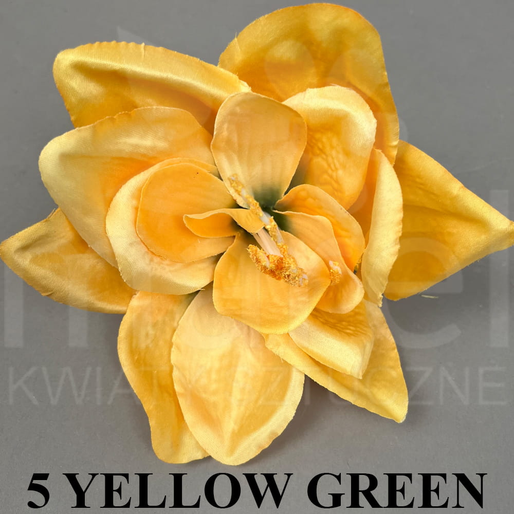 5 YELLOW GREEN.jpg