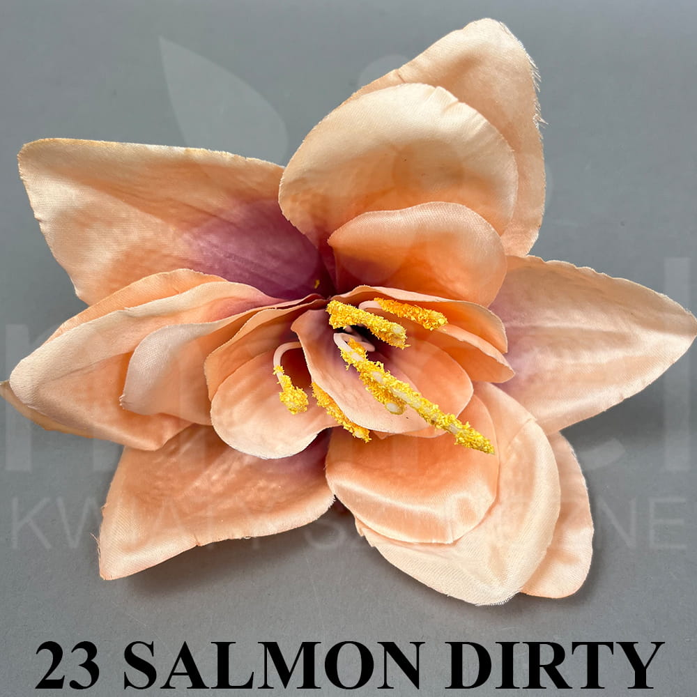 23 SALMON DIRTY .jpg