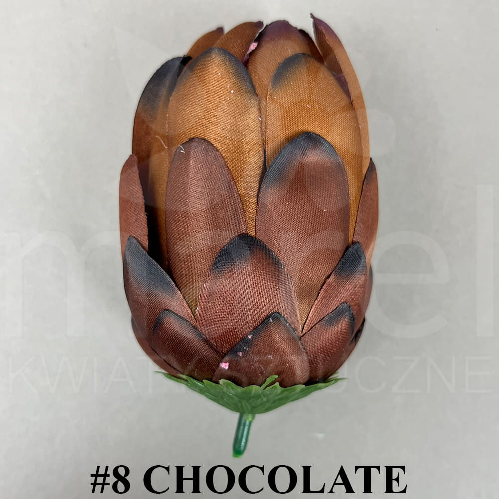 #8 CHOCOLATE.jpg