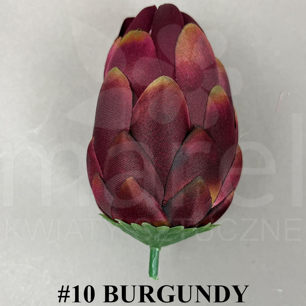 #10 BURGUNDY.jpg