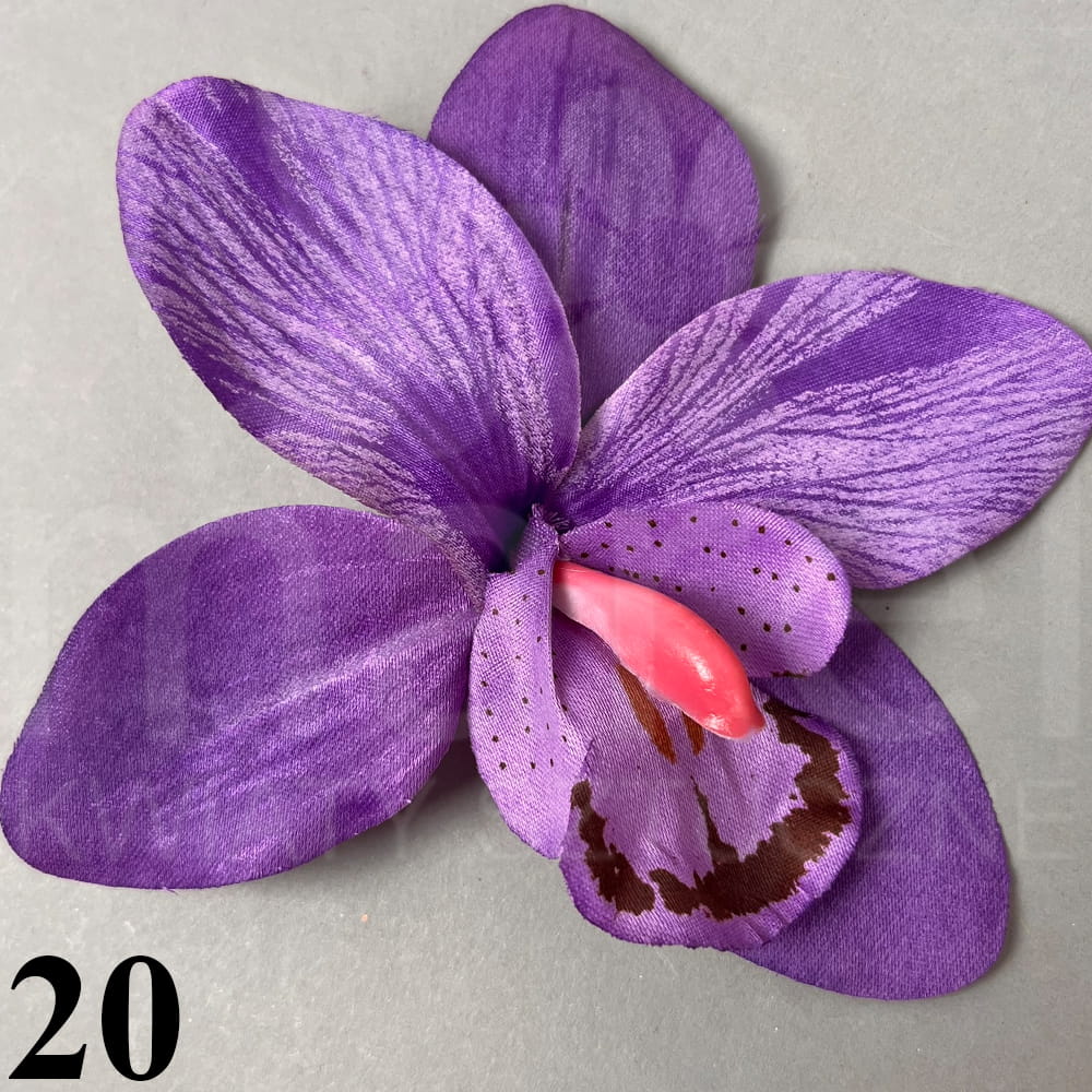 20.jpg