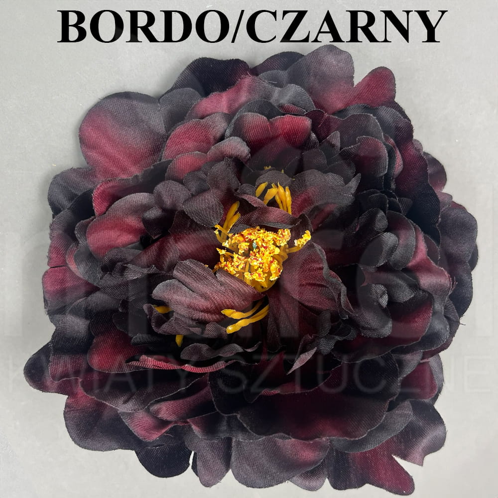 BORDO CZARNY.jpg