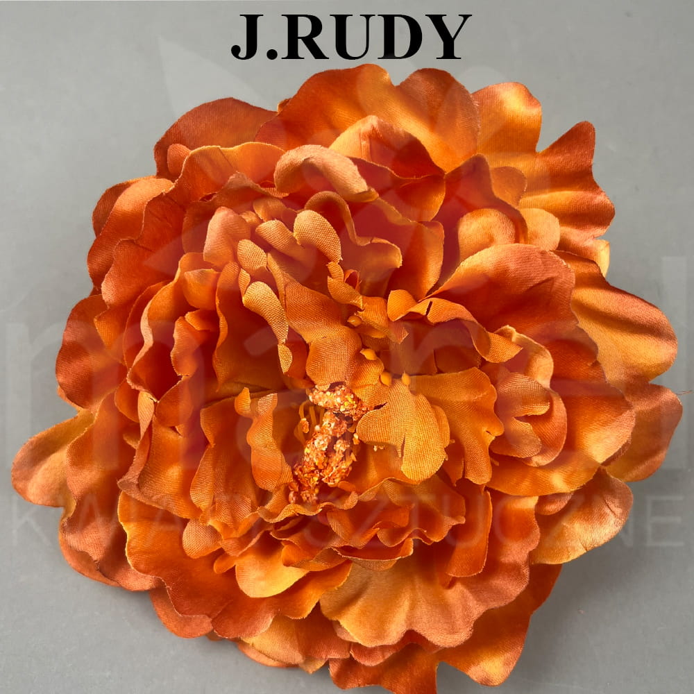 J.RUDY.jpg
