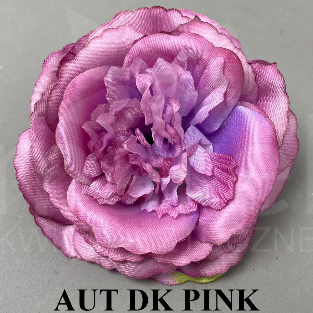 AUT DK PINK.jpg