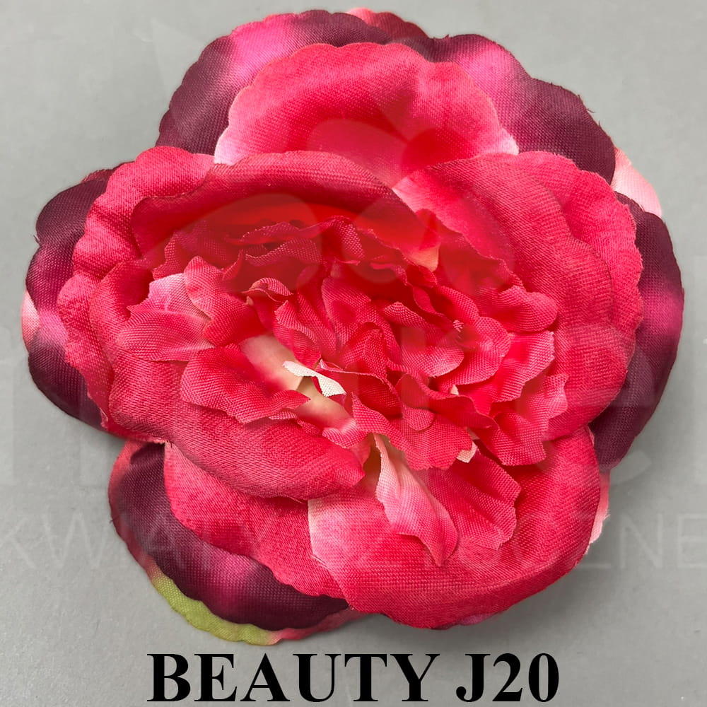 BEAUTY J20.jpg