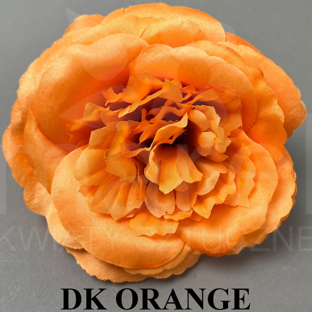 DK ORANGE.jpg