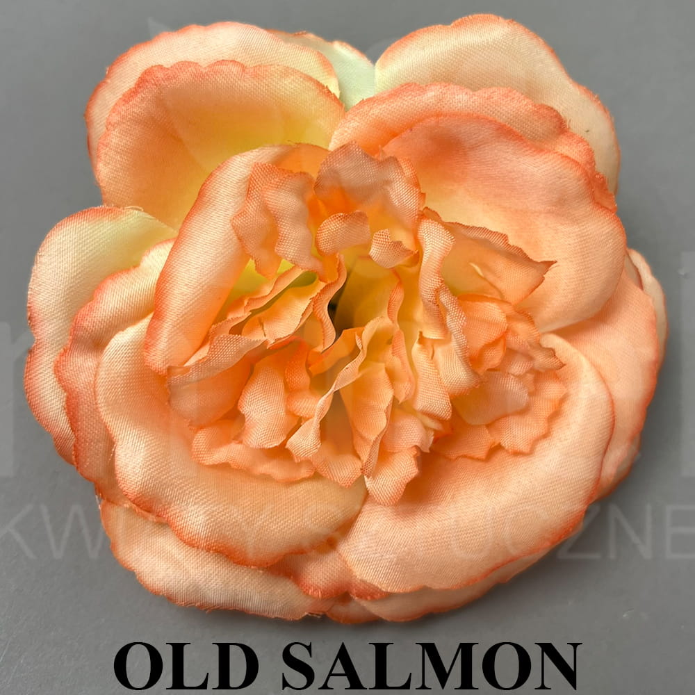 OLD SALMON.jpg