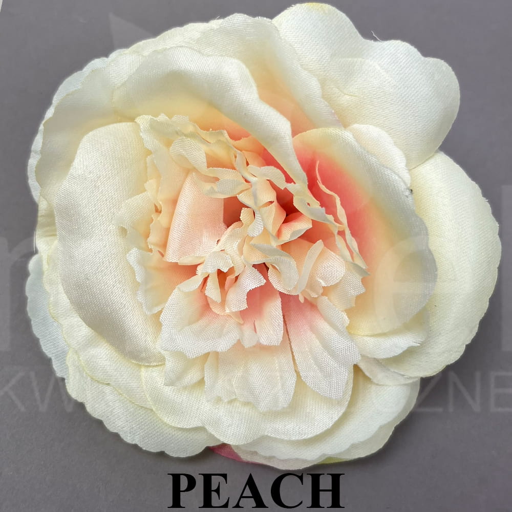 PEACH.jpg