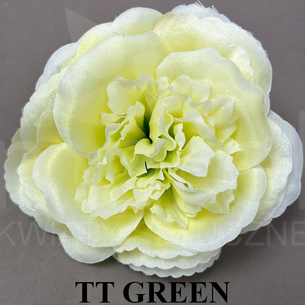 TT GREEN.jpg