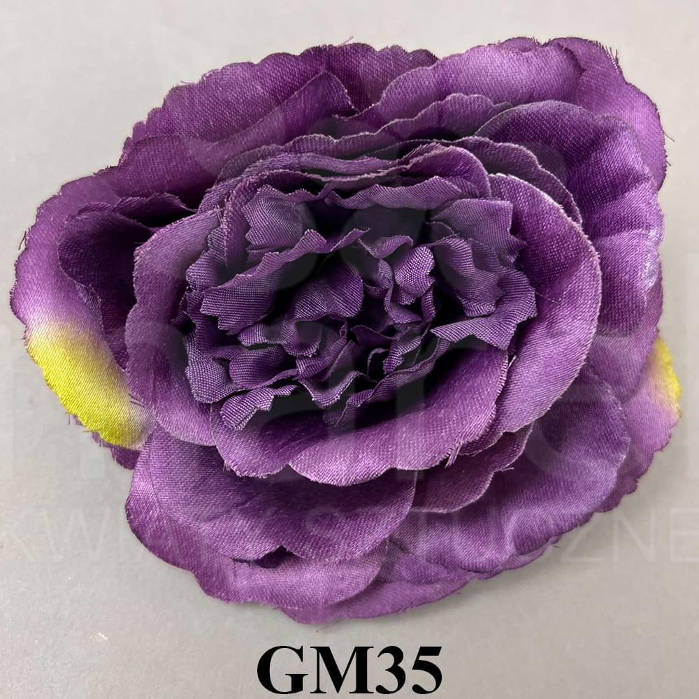 GM35.jpg