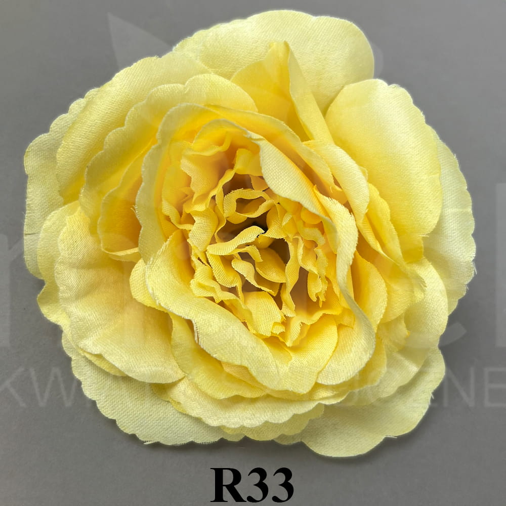 R33.jpg