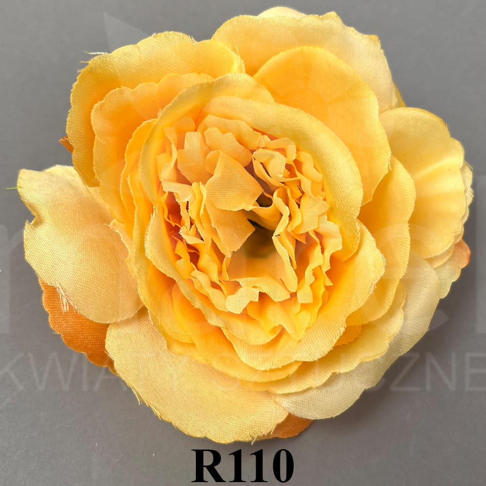 R110.jpg