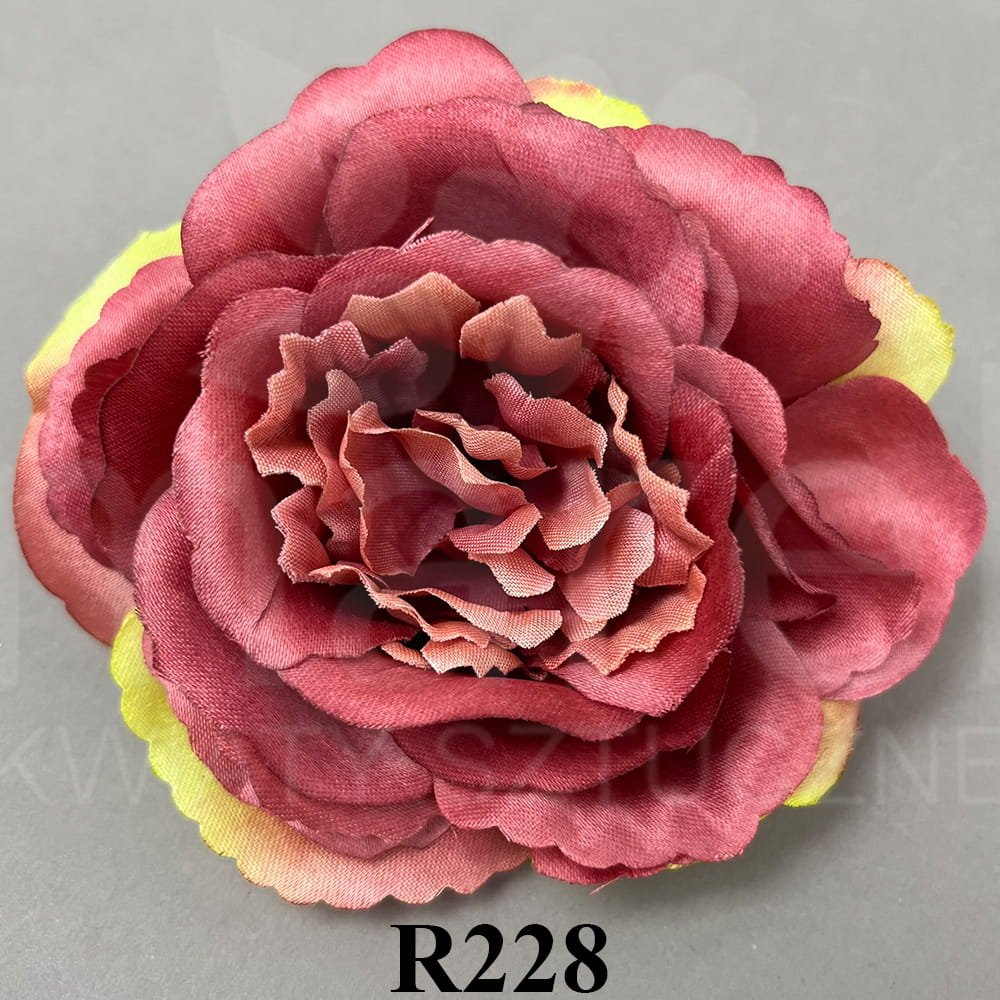R228.jpg