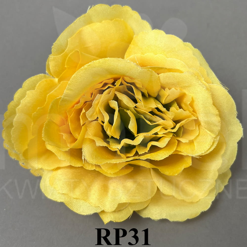 RP31.jpg
