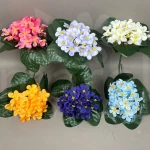 Prymulka BUA3514 MIX