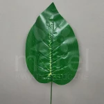 Liść gumowy FY1-005J karton