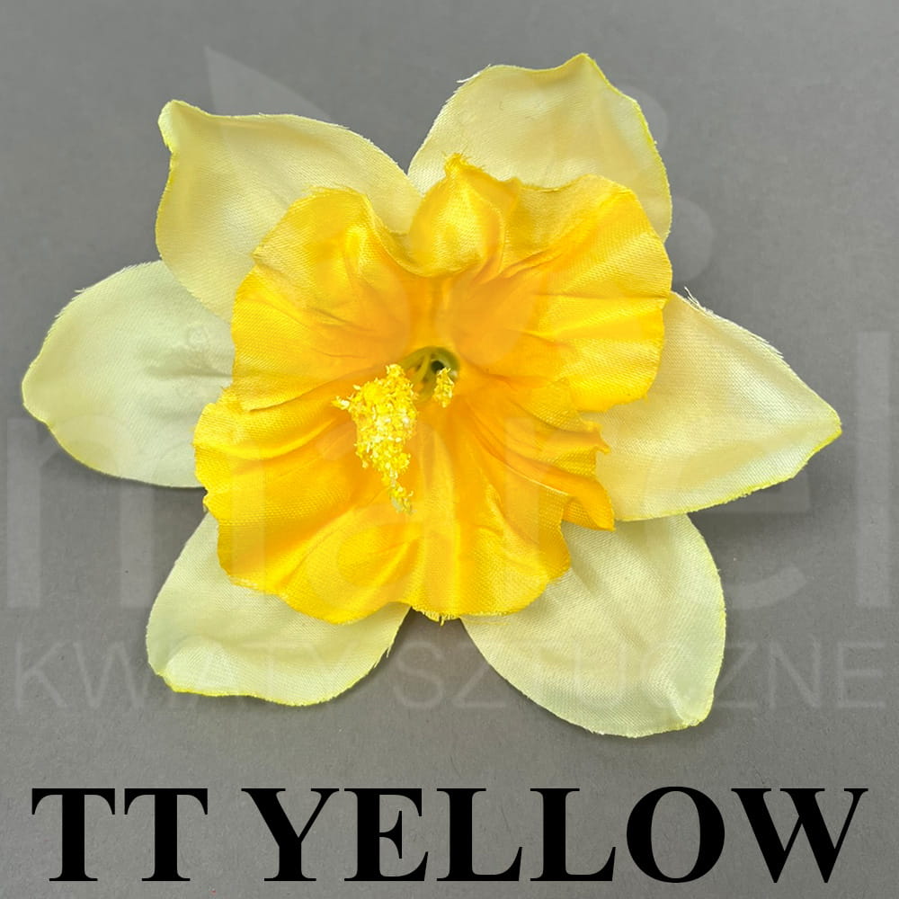 KW-001 TT YELLOW.jpg