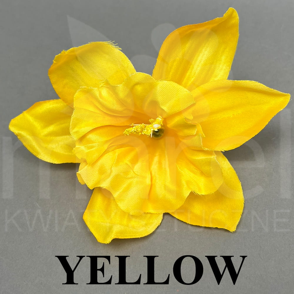 KW-001 YELLOW.jpg
