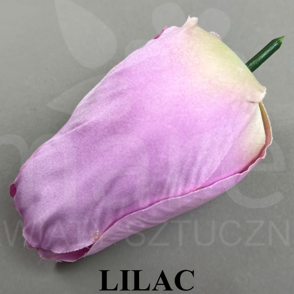 LILAC.jpg