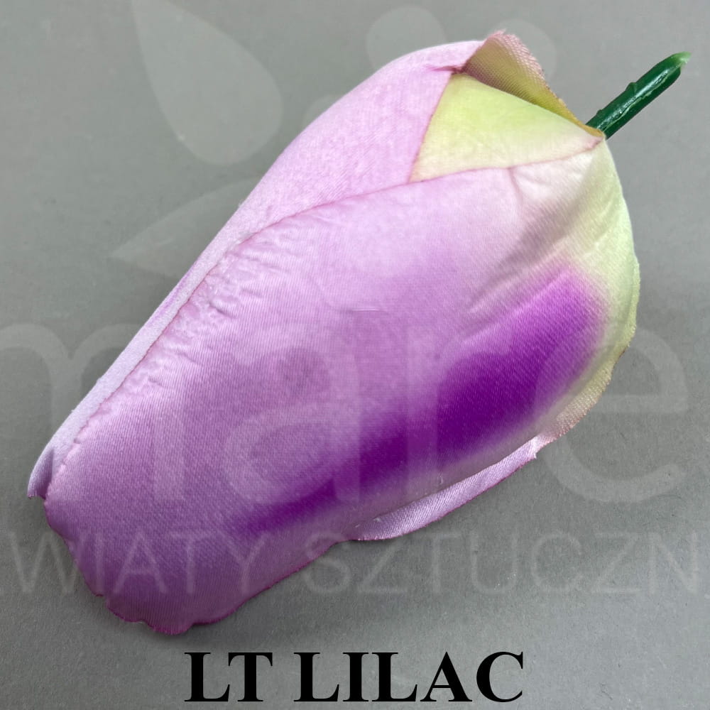 LT LILAC.jpg