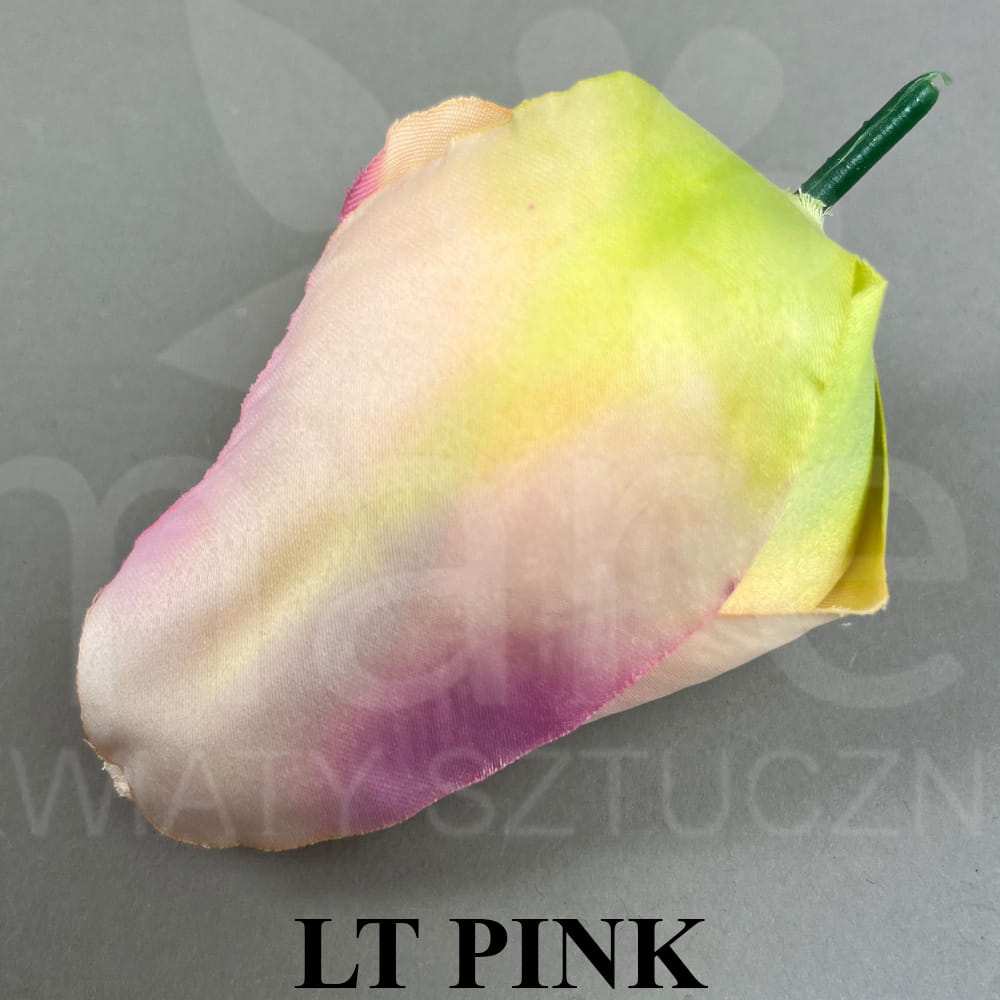 LT PIN.jpg