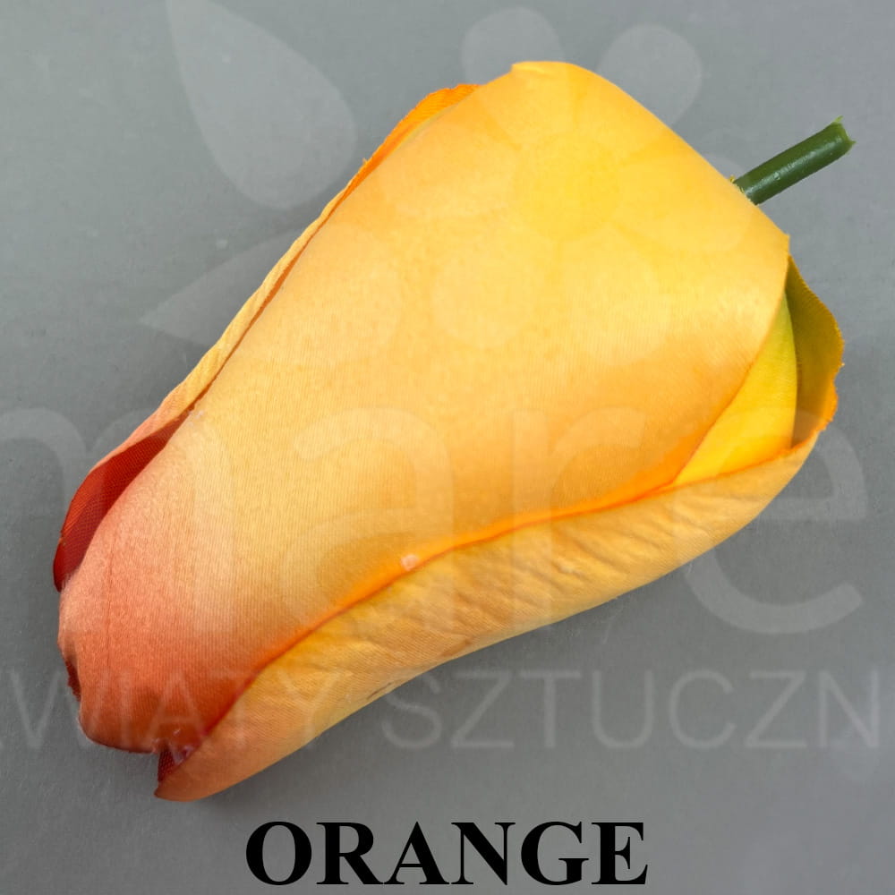 ORANGE.jpg